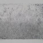 Saddleworth Moor, Grass. Carbon drawing on paper. 29 x 24cms. £500 + p&p.